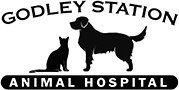 A black dog and cat are standing next to each other.