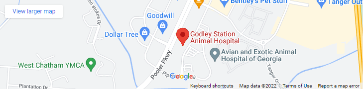 A map of the location of goodley station animal hospital.