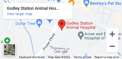 A map of the location of an animal hospital.